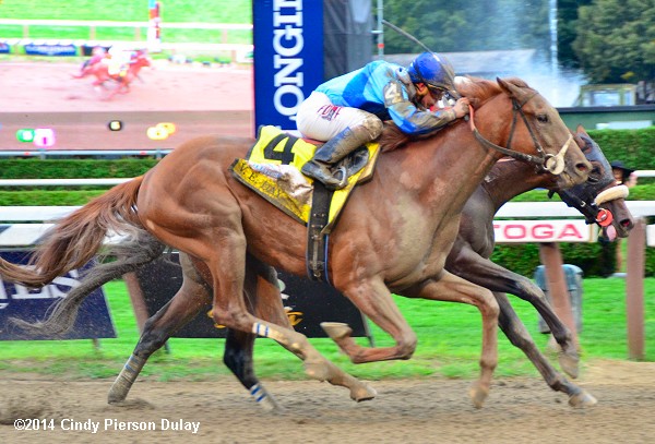 http://www.abouthorseraces.com/graphics/bc14/trav14-1.jpg