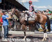 horse racing