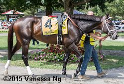 horse racing