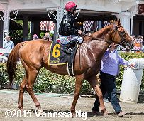horse racing