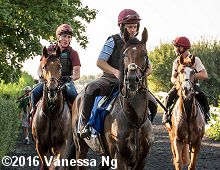 horse racing