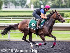 horse racing
