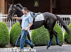 horse racing