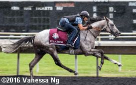 horse racing