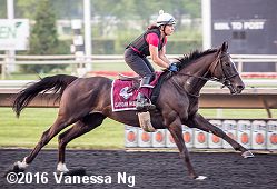 horse racing