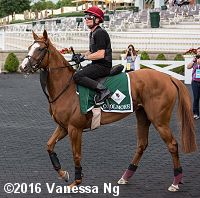 horse racing