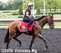 horse racing