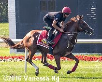 horse racing