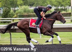 horse racing