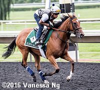 horse racing