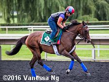 horse racing