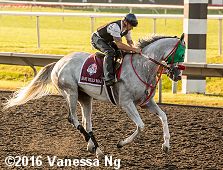 horse racing