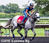 horse racing