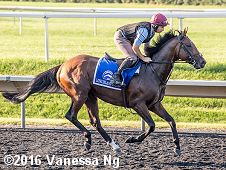 horse racing
