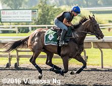 horse racing