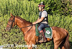 horse racing