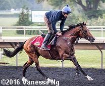 horse racing