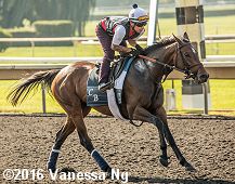 horse racing