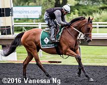 horse racing