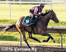 horse racing