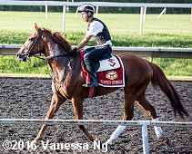 horse racing