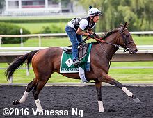 horse racing