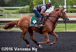 horse racing