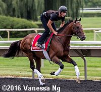 horse racing