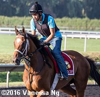 horse racing