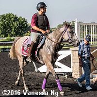 horse racing