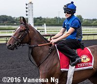 horse racing