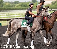 horse racing