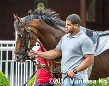 horse racing