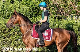 horse racing