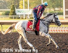 horse racing