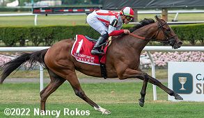 horse racing