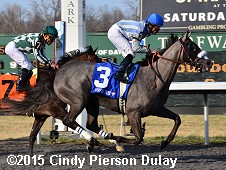 horse racing
