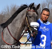 horse racing