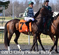 horse racing
