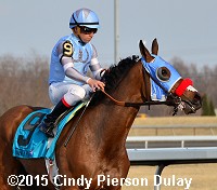 horse racing