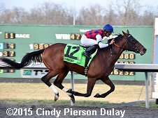 horse racing