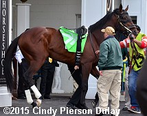 horse racing