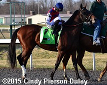 horse racing