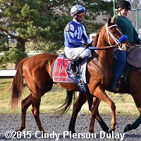 horse racing