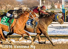 horse racing