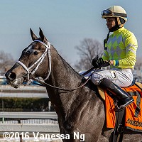 horse racing