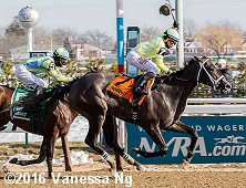horse racing