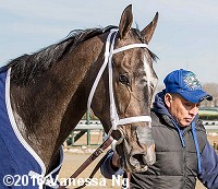 horse racing