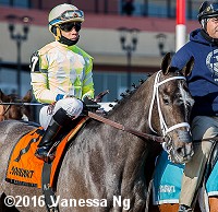 horse racing