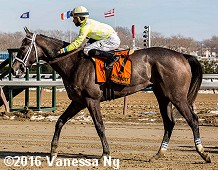 horse racing